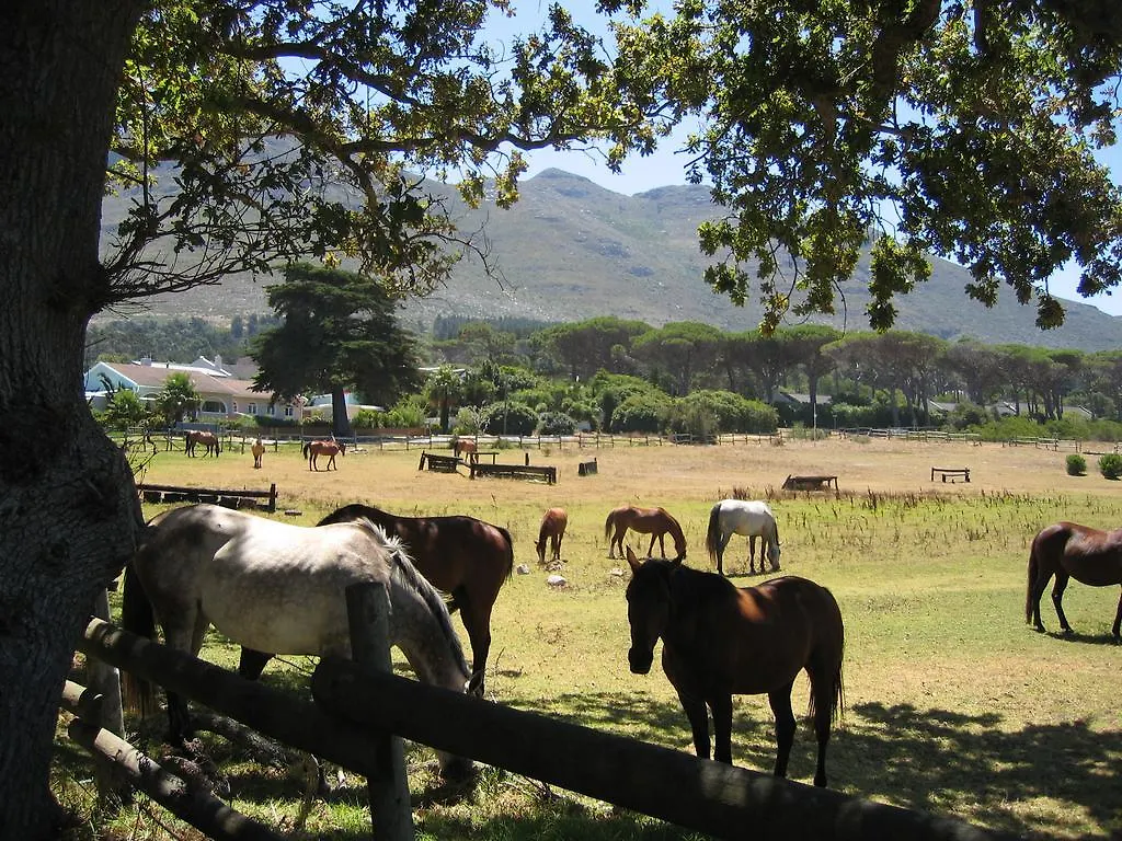 **** Πανσιόν Sacred Mountain Lodge Noordhoek Νότια Αφρική